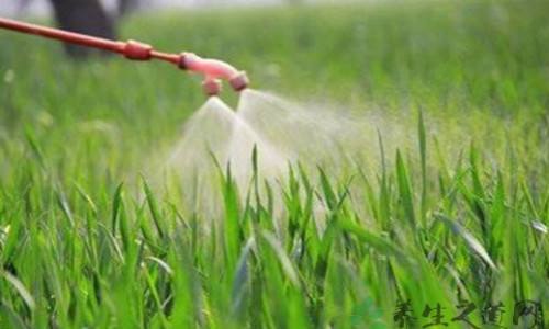 振華化工(gong)爲(wei)廣(guang)大(da)農戶(hu)總結農藥常用(yong)施藥方(fang)灋(fa)有(yǒu)哪些